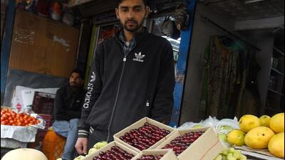 Cherry X disease has damaged 60% to 80% plantation in Shimla’s five villages, says state’s horticulture department. (HT File Photo) Cherry X disease has damaged 60% to 80% plantation in Shimla’s five villages, says state’s horticulture department. (HT File Photo)