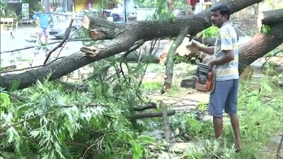 Bengaluru's rains uprooted several trees across the city, which blocked roads and worsened traffic congestions. (File pic)