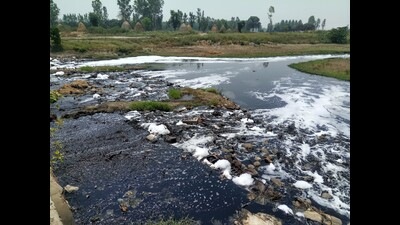 Punjab government has decided to design rejuvenation project of the Tung Dhab drain in Amritsar on the lines of Buddha Nullah. (Representational photo)