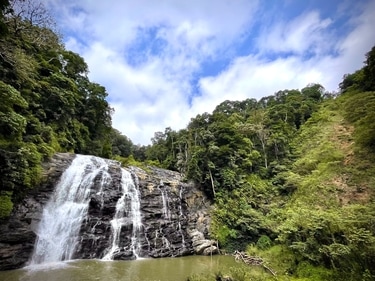 Your wedding photos and videos will be enhanced by the stunning natural setting of Coorg. (Unsplash)