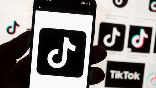 The TikTok logo(AP) The TikTok logo(AP)