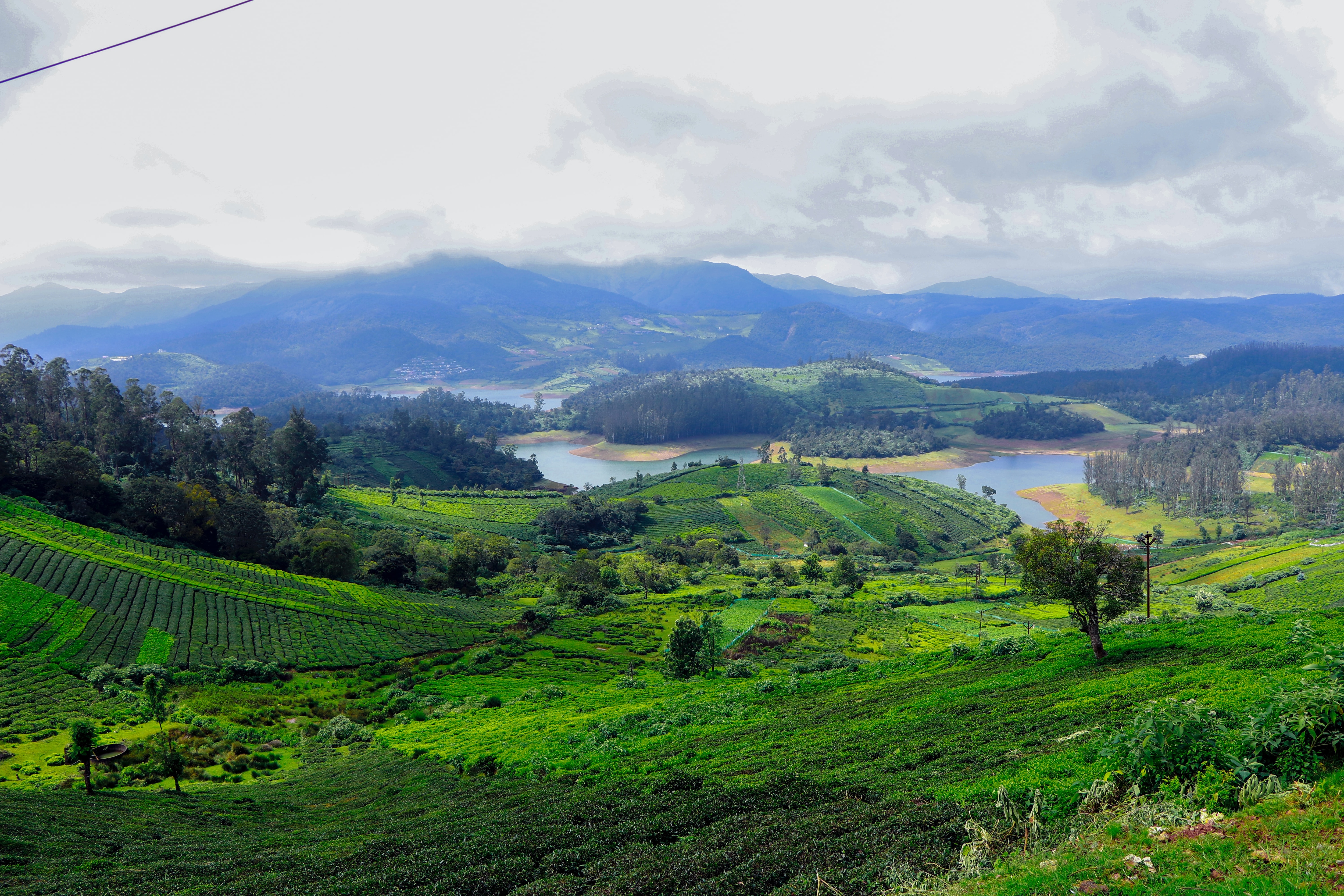 Make your wedding a moment that everyone will remember for years in Ooty.(Unsplash)