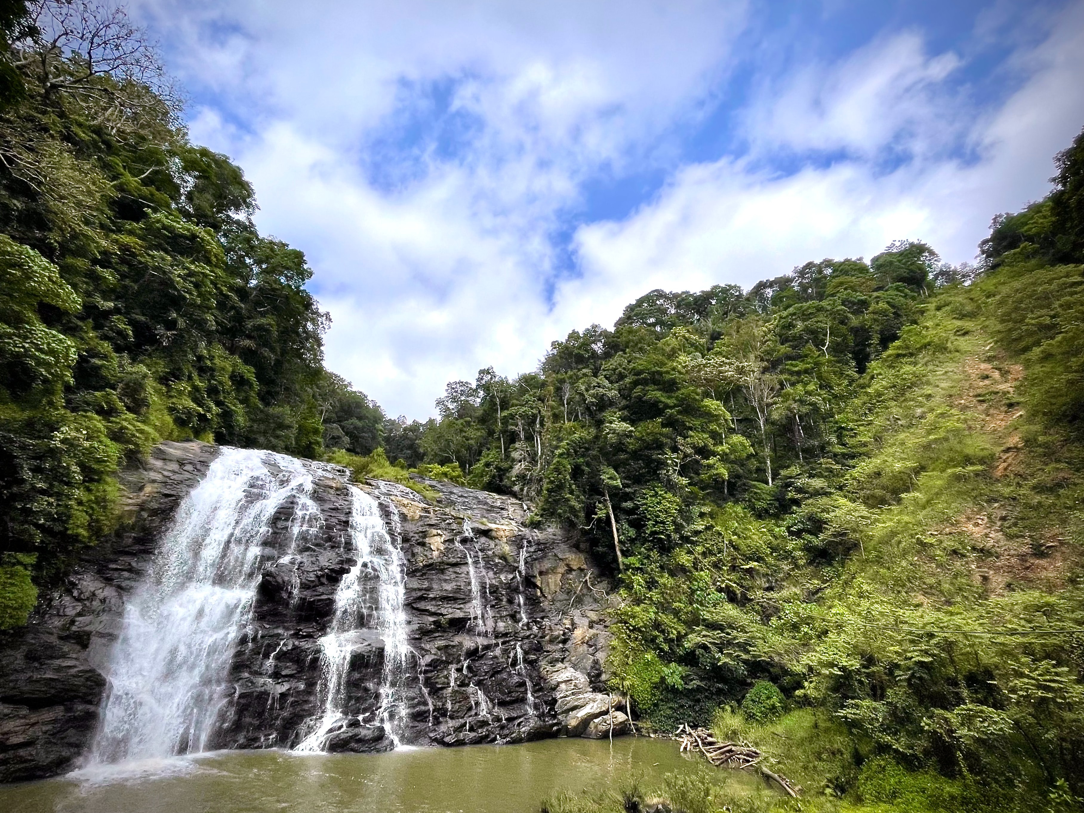 Your wedding photos and videos will be enhanced by the stunning natural setting of Coorg.(Unsplash)