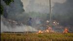 A farmer burns stubble on the outskirts of Ludhiana, in Punjab. (HT Photo) A farmer burns stubble on the outskirts of Ludhiana, in Punjab. (HT Photo)