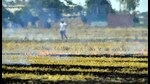 The move is seen as a U-turn by the government to check the environmentally hazardous farm practice in the state. Over 4,300 cases of red entries will be rolled back after the notification. (HT file photo) The move is seen as a U-turn by the government to check the environmentally hazardous farm practice in the state. Over 4,300 cases of red entries will be rolled back after the notification. (HT file photo)