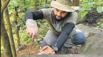 Collecting scat, can take hours of trudging carefully through dense foliage, eyes trained on the ground. Its important to collect the samples before they are degraded or stomped on, covered by leaves or picked apart by another jungle inhabitant, says ecologist Abhinav Tyagi. Collecting scat, can take hours of trudging carefully through dense foliage, eyes trained on the ground. Its important to collect the samples before they are degraded or stomped on, covered by leaves or picked apart by another jungle inhabitant, says ecologist Abhinav Tyagi.