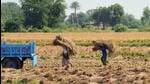 Anger among farmers in Gujarat’s Surendranagar saw the BJP’s electoral fortunes take a beating in the region in 2017. (AFP)