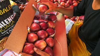 The Centre had announced to increase the GST on cartons and trays from 12% to 18% this year, which was opposed by the apple growers in Himachal. (PTI file photo for representational purpose)