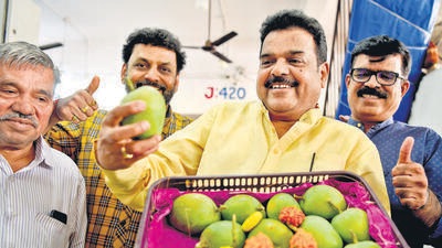 Navi Mumbai, India - Nov. 25, 2022:Fruit trader Ashok Hande perform ritual puja of Seasons First Alphonso Mangoes from Devgad Ratnagiri, as it arrived at APMC Fruit Market in Navi Mumbai, India, on Friday, November 25, 2022. (Photo by Bachchan Kumar/ HT PHOTO) (HT PHOTO) Navi Mumbai, India - Nov. 25, 2022:Fruit trader Ashok Hande perform ritual puja of Seasons First Alphonso Mangoes from Devgad Ratnagiri, as it arrived at APMC Fruit Market in Navi Mumbai, India, on Friday, November 25, 2022. (Photo by Bachchan Kumar/ HT PHOTO) (HT PHOTO)