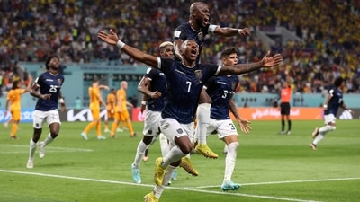 Ecuador players celebrate after scoring the equaliser against Netherlands at the FIFA World Cup 2022. (REUTERS)