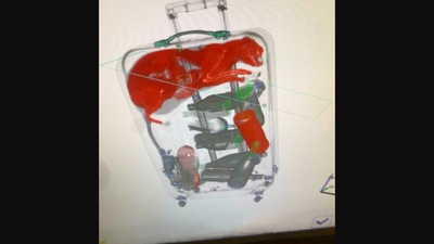 The image, taken from the Twitter post, shows the X-ray of the bag that shows a cat nestled inside. (Twitter/@TSA)