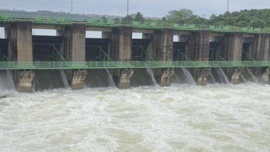 Tons river in Madhya Pradesh (HT Photo) Tons river in Madhya Pradesh (HT Photo)