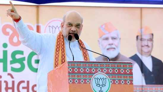 Union home minister Amit Shah addresses a public meeting for the upcoming Gujarat assembly election, in Vagra, on Friday. (ANI)