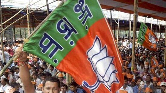 A BJP supporter waves a party flag. (PTI) A BJP supporter waves a party flag. (PTI)