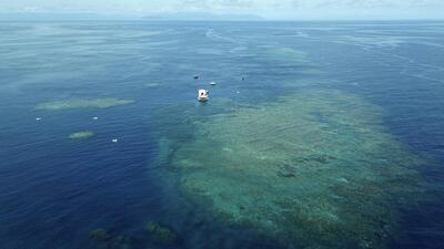A a section of the Great Barrier Reef in Gunggandji Sea Country off coast of Queensland in eastern Australia. (AP) A a section of the Great Barrier Reef in Gunggandji Sea Country off coast of Queensland in eastern Australia. (AP)