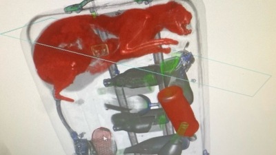 The officers who saw the image, and then opened the case to find the cat. The officers who saw the image, and then opened the case to find the cat.