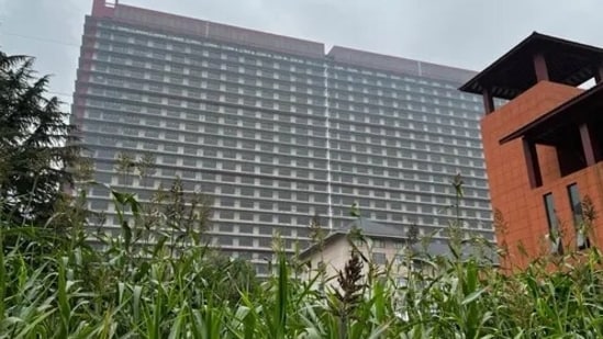 China: The new skyscraper-sized farm began production at the start of October.