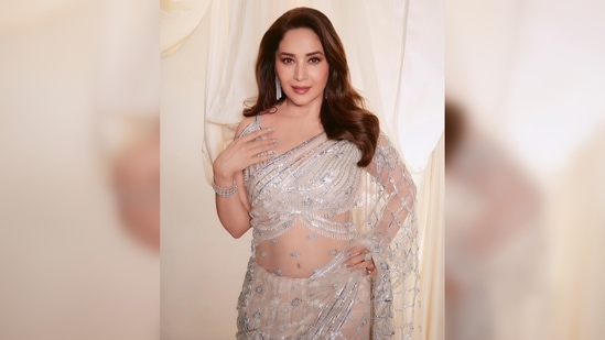 Madhuri Dixit's gorgeous saree is from the collection of the luxury designer house of Falguni Shane Peacock.(Instagram/@stylebyami)