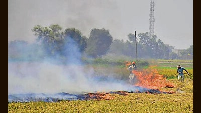 The orders to make red entries against farmers in the revenue record, issued by the National Green Tribunal (NGT) in its letter on October 4, have been withdrawn. (HT file photo) The orders to make red entries against farmers in the revenue record, issued by the National Green Tribunal (NGT) in its letter on October 4, have been withdrawn. (HT file photo)
