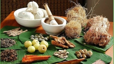 A robust immune system will protect you from disease-causing and reduce the risk of developing severe symptoms. (Pinterest) A robust immune system will protect you from disease-causing and reduce the risk of developing severe symptoms. (Pinterest)