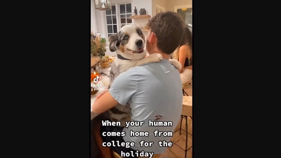 The image, taken from the Instagram video, shows the dog hugging its human.(Screengrab)