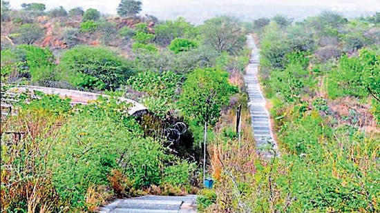 The Aravallis is over 2,400 kmaway in a different ecological zonefrom Great Nicobar, but rules allow for such remote compensatory afforestation (FILE)
