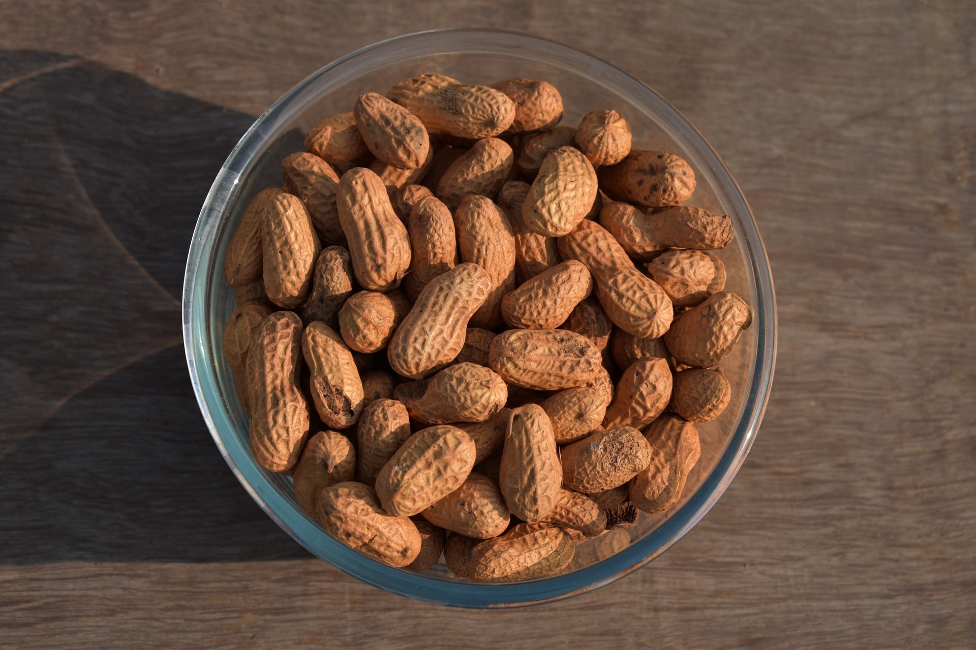Groundnut, also known as peanuts shield us from many ailments.(pixabay)