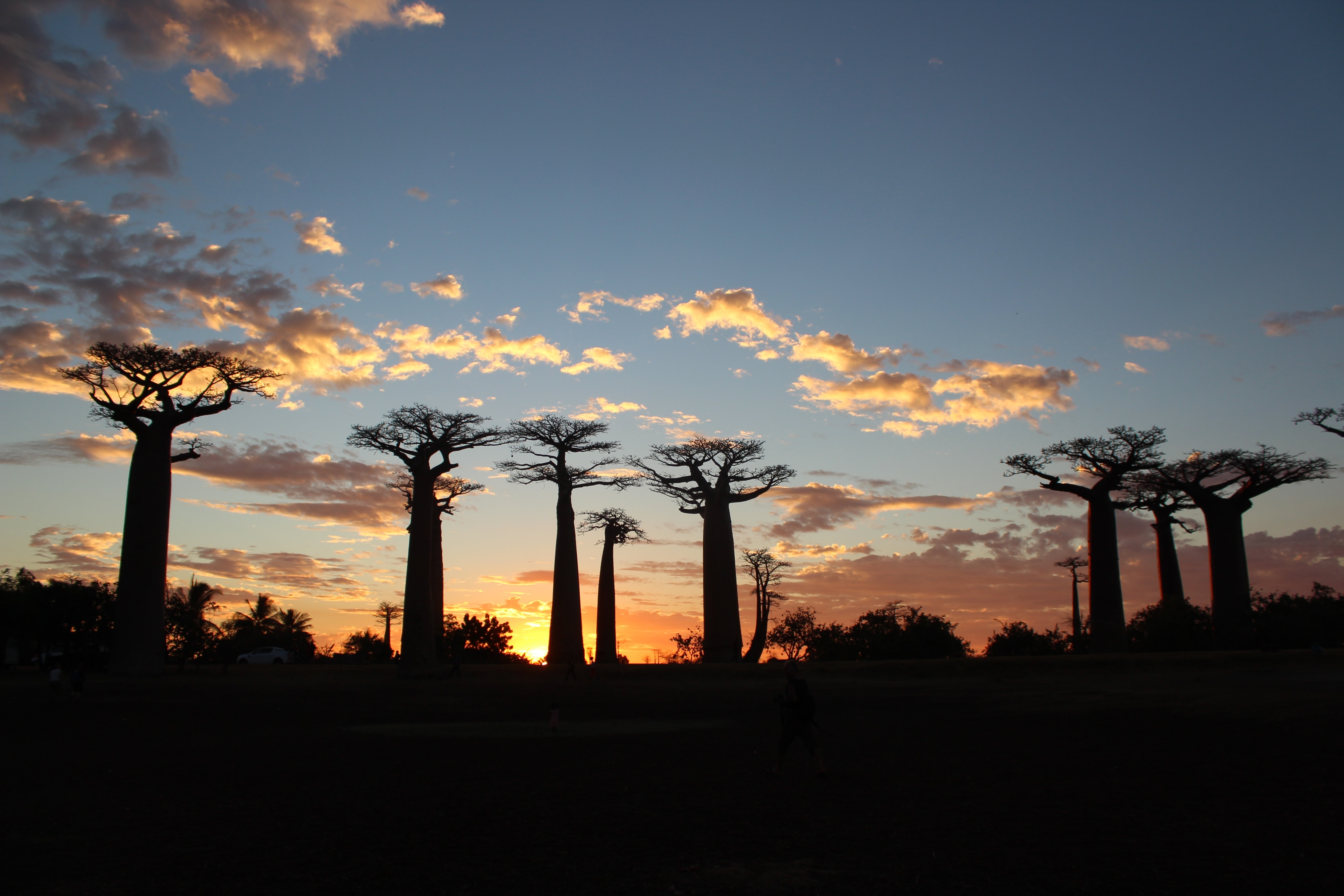 Along with its beautiful landscapes and varied cuisine, Madagascar Island is a dream holiday destination.(Unsplash)