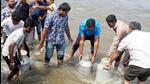 Surat, Sept 21 (ANI): Shepard community members throwing cow milk in the river Tapi in a protest demanding to enact strong laws against the cow slaughter, in Surat on Wednesday. (ANI Photo) (Ashok Munjani) Surat, Sept 21 (ANI): Shepard community members throwing cow milk in the river Tapi in a protest demanding to enact strong laws against the cow slaughter, in Surat on Wednesday. (ANI Photo) (Ashok Munjani)