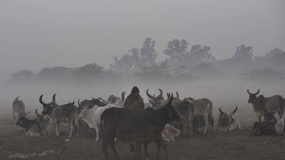 Forecasts show Delhi is likely to record a maximum and minimum temperature of 27°C and 8°C on Tuesday. (Vipin Kumar/HT Photo) Forecasts show Delhi is likely to record a maximum and minimum temperature of 27°C and 8°C on Tuesday. (Vipin Kumar/HT Photo)