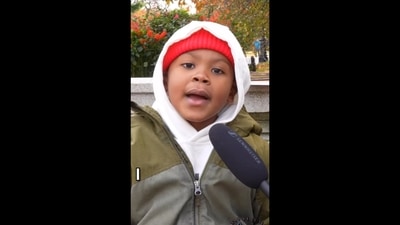 Kid talking about pumkin pies. (Instagram/@recess_therapy) Kid talking about pumkin pies. (Instagram/@recess_therapy)