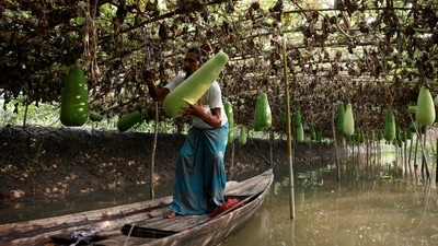 Low-lying Bangladesh has witnessed a brutal impat of climate change in the last two decades. It is considered to be among the most climate-vulnerable countries, and has witnessed rising water levels due to storms, floods, and erosion. (Mohammad Ponir Hossain / REUTERS) Low-lying Bangladesh has witnessed a brutal impat of climate change in the last two decades. It is considered to be among the most climate-vulnerable countries, and has witnessed rising water levels due to storms, floods, and erosion. (Mohammad Ponir Hossain / REUTERS)