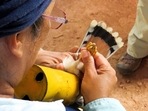 A Pronatura volunteer measures the legs of an American kestrel for the ringing process as part of the counting and preservation program of bird species near Jose Cardel, Veracruz, Mexico 