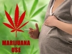 Americans insist marijuana should be legal. Here's why (Shutterstock) Americans insist marijuana should be legal. Here's why (Shutterstock)