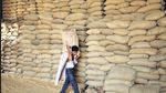 Prices of wheat flour (atta) have jumped 17% in the past one year due to a shortage of the staple in open markets, millers have said, urging the government to release grains from its own reserves. (REUTERS) Prices of wheat flour (atta) have jumped 17% in the past one year due to a shortage of the staple in open markets, millers have said, urging the government to release grains from its own reserves. (REUTERS)