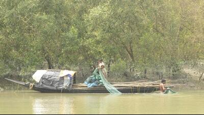 A ferry in West Bengal’s Sunderbans. (Samir Jana/HT File Photo)