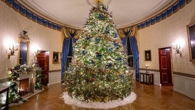 Winter trees, Woodland animals and glowing lanterns have been placed along the hallway to give people the feeling of walking through snow. (Instagram/@flotus)