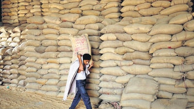 Prices of wheat flour (atta) have jumped 17% in the past one year due to a shortage of the staple in open markets, millers have said, urging the government to release grains from its own reserves. (REUTERS) Prices of wheat flour (atta) have jumped 17% in the past one year due to a shortage of the staple in open markets, millers have said, urging the government to release grains from its own reserves. (REUTERS)