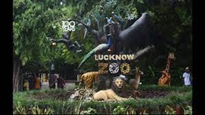 Lucknow zoo warms up for winter months (file) Lucknow zoo warms up for winter months (file)