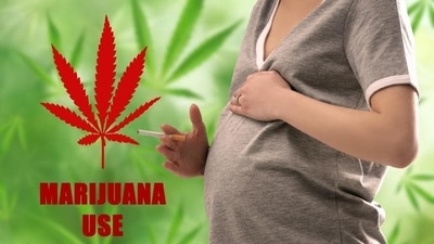 Americans insist marijuana should be legal. Here's why (Shutterstock) Americans insist marijuana should be legal. Here's why (Shutterstock)