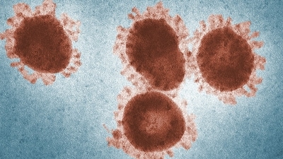 Scientists have revived 48,500 yrs old Zombie Virus trapped in ice. (Representational image/CDC) Scientists have revived 48,500 yrs old Zombie Virus trapped in ice. (Representational image/CDC)