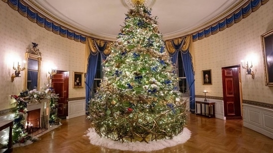 Winter trees, Woodland animals and glowing lanterns have been placed along the hallway to give people the feeling of walking through snow.(Instagram/@flotus)