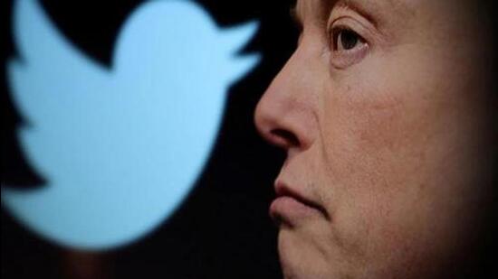 Twitter logo and a photo of Elon Musk are displayed through magnifier in this illustration. (Reuters)