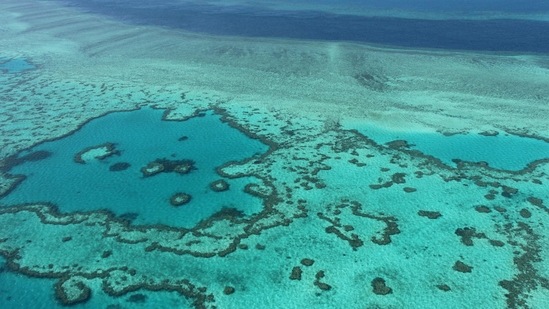 This file photo taken on November 20, 2014 shows an aerial view of the Great Barrier Reef off the coast of the Whitsunday Islands, along the central coast of Queensland.(AFP)