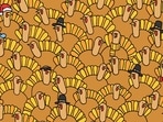 A pumpkin is hidden among the turkeys. Can you spot it quickly?(Instagram/@thedudolf) A pumpkin is hidden among the turkeys. Can you spot it quickly?(Instagram/@thedudolf)