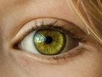 Retinal cells have potential to protect from diabetic retinopathy: Study(Pixabay) Retinal cells have potential to protect from diabetic retinopathy: Study(Pixabay)