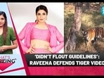 'DIDN'T FLOUT GUIDELINES': RAVEENA DEFENDS TIGER VIDEO