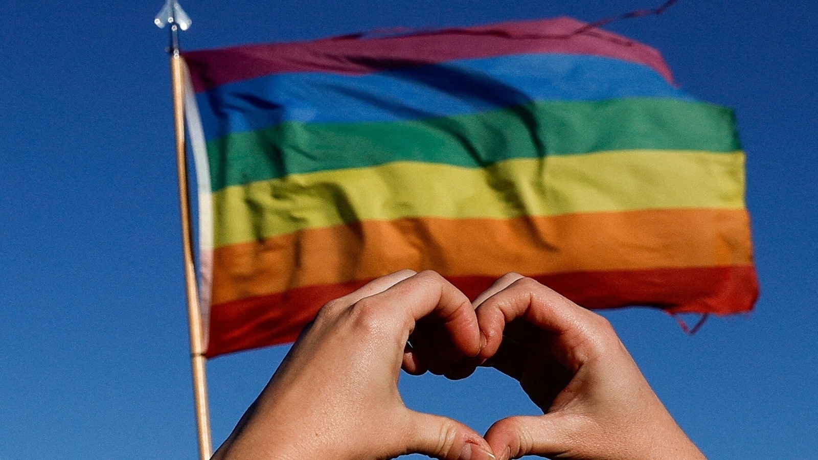 Landmark same-sex marriage bill passed by US Senate | World News -  Hindustan Times