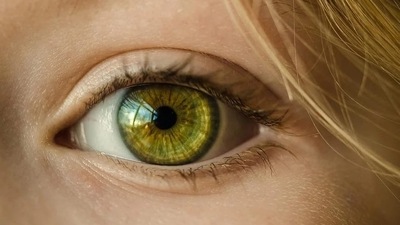 Retinal cells have potential to protect from diabetic retinopathy: Study (Pixabay) Retinal cells have potential to protect from diabetic retinopathy: Study (Pixabay)