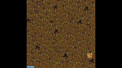The image highlights the pumpkin in this brain teaser. (Gergely Dudás) The image highlights the pumpkin in this brain teaser. (Gergely Dudás)
